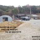 홍성/산자락 비닐하우스.창고.태양광갖춘 300평 전원주택 2억5천만 이미지