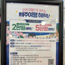 생일도닷컴 | 제주도 6월 여행 지원금 탐나는 전 제주공항 수령 후기