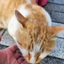 웃는얼굴아트센터수영장 이미지