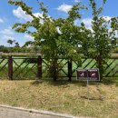 지사울공원 이미지