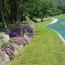 금정체육공원 이미지