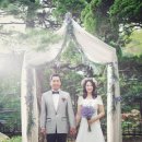 비본스튜디오