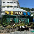 키움농장 | 김해 부곡동 꽃집 &lt;키움다육농장&gt; 넓고 다양한 식물 쇼핑 후기