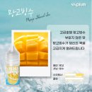 베이피움 이미지