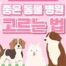 마크로24시 동물병원 이미지