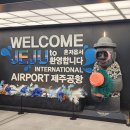 캐리 | 제주공항 짐배송: 뚜벅이 여행 짐캐리 후기 (요금표 및 수탁 불가)