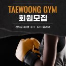 회기15 이미지