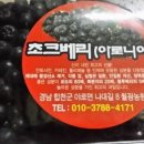 초코 베리 Daum카페