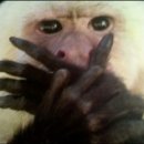 경주 한옥 별하 이미지