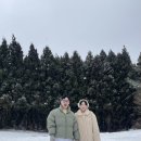 지성목장 이미지