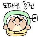 대전청소년아카데미 이미지