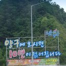 주목나무펜션 이미지