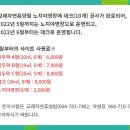 제주자연잔디