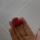 굿스 고로케앤꽈배기 네이버블로그
