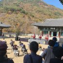 찾아가는 도민예술단 이미지