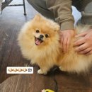 동양오락실 | 인천 영종도 찜질방 인천 조탕 주말 방문 사우나 후기