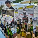 힐스프링 | 워커힐 스프링 와인페어 내돈내산 후기