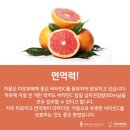 하이풀 스포츠 이미지