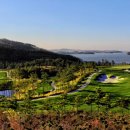 아일랜드 365 이미지