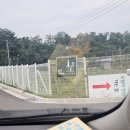 오월의정원 포레스트 이미지