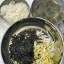 대원정 | [보성맛집] 보성 녹차밭 근처 꼬막정식 먹을 수 있는 대원정 다녀왔어요✨(+솔직후기)