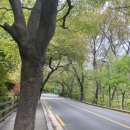 장로회신학대학교 일반대학원 이미지