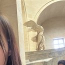 동상세탁 | ✈️🤍프랑스-이탈리아-스위스 신혼여행 후기 2탄(루브르박물관,야경투어,파리 디즈니랜드🐹)