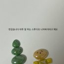 스투디오니어바이 이미지