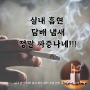 서강크린