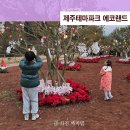 향수목장1 | 12월 제주테마파크 에코랜드 겨울축제 가족여행 다녀온 후기