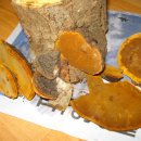 뽕이네민박 이미지