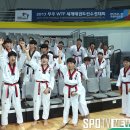 국가대표 올림픽 태권도장 이미지