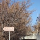 창원 안골왜성 이미지