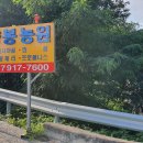 나눔양봉농원
