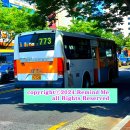 서울듀크의원 이미지