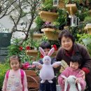 마곡자연숲어린이집 이미지