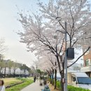 황제아파트 | 연남동맛집 '화청' 막창 황제살 언제 가도 좋은 고기집 뭐먹지 고민될 때 방문 솔직후기