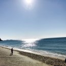 일미옥불고기 | 홍성 맛집 불고기 시래기밥 별미 일미옥불고기