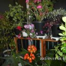 충훈2교 옆 이미지