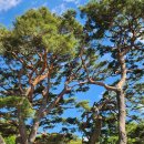 삼산 소공원 이미지