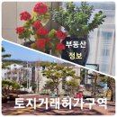 경보부동산중개사무소 네이버블로그