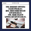 세무사이기철 이미지