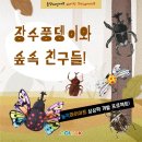 놀작마이아트센터