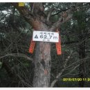 기성망양 이미지