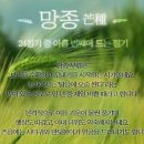 신기한 사주이야기 (진로상담-간호사)