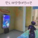 해양생태전시관 | 전남 완도 아이랑 가볼만한곳 완도 해양생태전시관