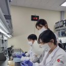 광역환경 케이에스피뉴스