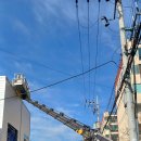 세븐일레븐(김해지내공단점) 이미지