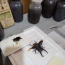 금계유일농장 | 아이와 거제도 즐기기 :: 거제곤충농장 (Feat. 외간리 동백나무에서 점심)