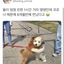 달빛한스푼 이미지